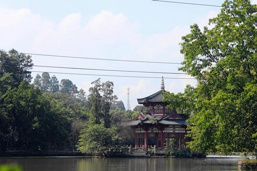 借力科技 宜宾旅游讲智慧 (图1) 借力科技 宜宾旅游讲智慧 (图1)