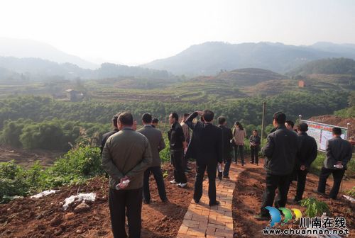 合江县农工办带领涉农部门到福宝检查荔枝基地建设情况(图1)