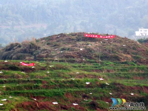 合江县农工办带领涉农部门到福宝检查荔枝基地建设情况(图2)