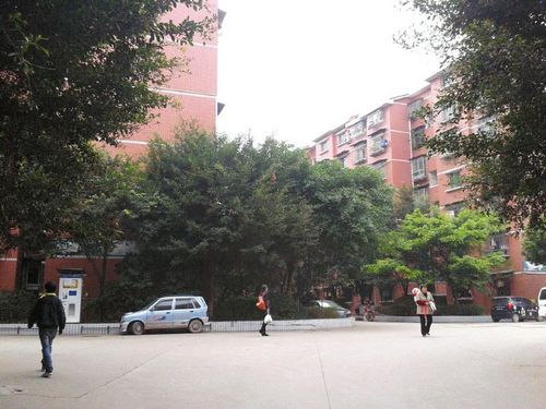 推行“小物管”&nbsp;老小区有了大管家(图1)