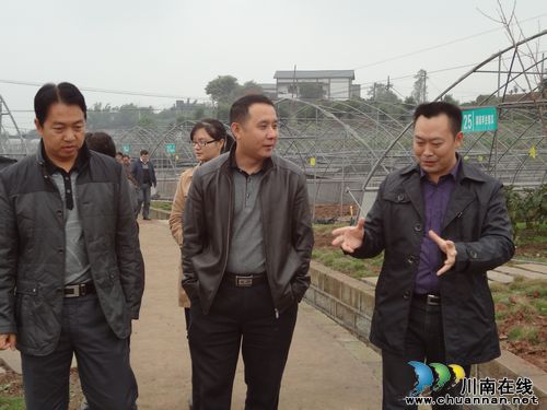 省质监局检查组高度肯定泸州市江阳区创建工作(图6)