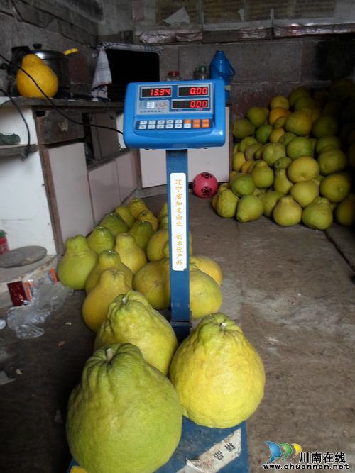 泸州合江白米乡：三亩真龙柚&nbsp;&nbsp;产值八万元(图2)