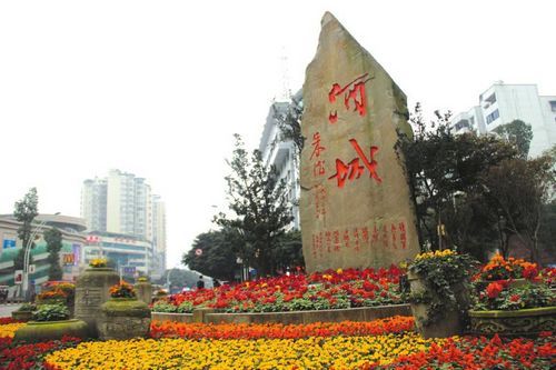 30多万盆鲜花扮靓泸州城区&nbsp;喜迎党的"十八大"召开(图1)