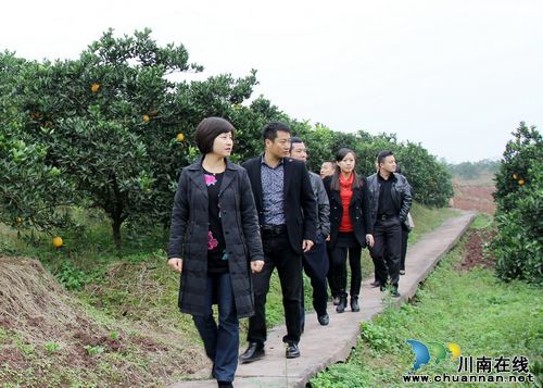 通滩镇:吸纳人脉 打响品牌 促进农民增收致富(图1) 通滩镇:吸纳人脉 打响品牌 促进农民增收致富(图1)