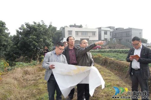 泸县永久性基本农田划定工作通过市局现场核查初验(图2)