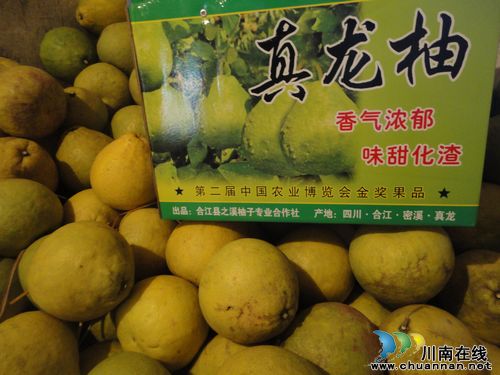 密溪乡:小小柚子挣大钱(图1) 密溪乡:小小柚子挣大钱(图1)