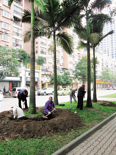 内江多条道路开始提升改造(图1) 内江多条道路开始提升改造(图1)