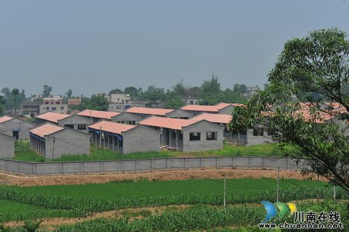 泸县：产村相融&nbsp;&nbsp;趟出丘区产业发展新路子(图3)