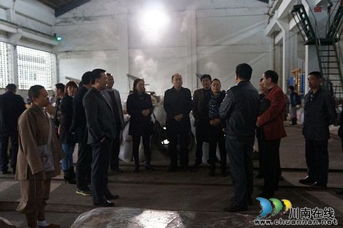 立石镇:县镇人大代表、政协委员深入一线调研(图1) 立石镇:县镇人大代表、政协委员深入一线调研(图1)