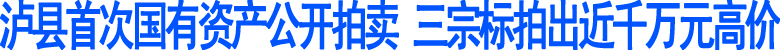 泸县国有资产公开拍卖顺利落锤(图1)