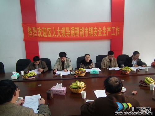 龙马潭区人大主任徐剑南到胡市镇调研安全工作(图1)