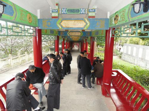 川南文化地标助推泸州创文明城市(图1)