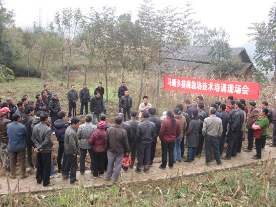 省农科院专家支援泸州民族地区(图1)