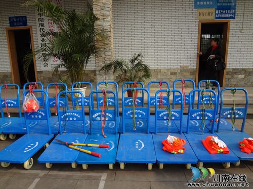 泸州华阳街道举行农村绿化环卫工具发放仪式(图3)