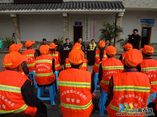 泸州华阳街道举行农村绿化环卫工具发放仪式(图1)