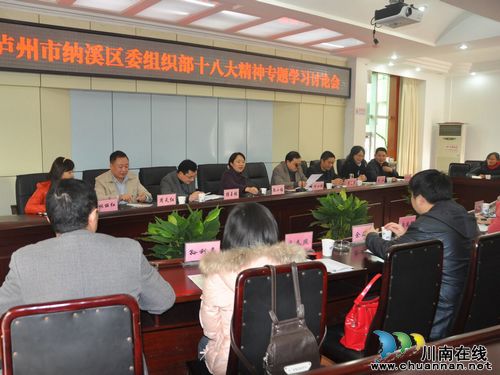 纳溪区委组织部学习贯彻党的十八大精神(图1)