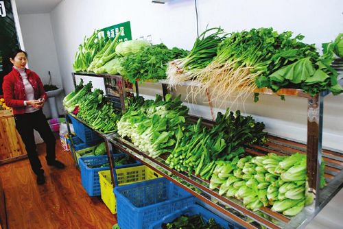 每月卖菜15天 能领工资2000元(图1) 每月卖菜15天 能领工资2000元(图1)