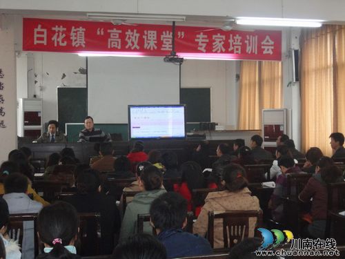 白花镇召开“高效课堂”专家培训会(图1)