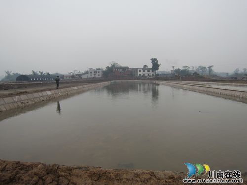 方洞镇：稻鳅养殖助力新农村建设之路(图1)