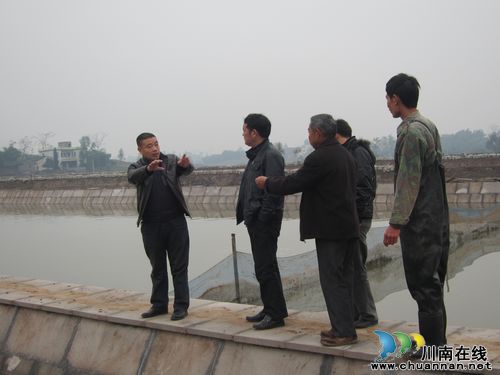 方洞镇：稻鳅养殖助力新农村建设之路(图3)