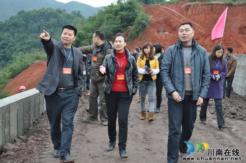 上马镇：组织区镇人大代表开展视察活动(图1)