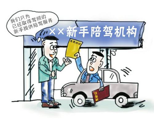 自贡现新手陪驾:含高速路陪驾&nbsp;收费50元一小时(图1)