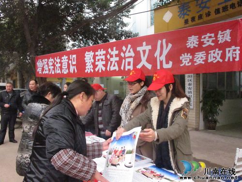 泰安镇：青年志愿者助推“法治文化宣传进场镇”(图1)