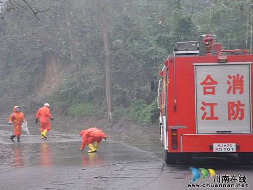 电力工人遭马蜂蛰伤困树梢&nbsp;合江消防"水炮"轰蜂巢(图4)