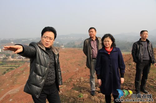 泸州市农业局王霞局长调研尧坝荔枝产业发展(图1)