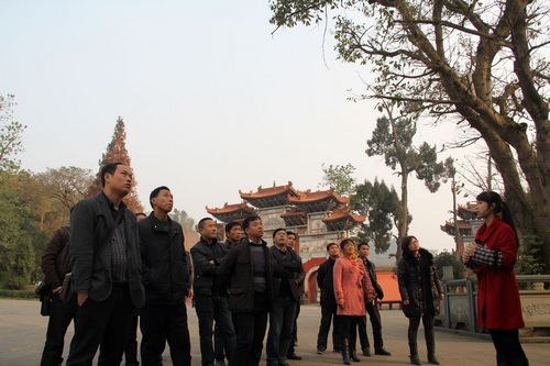 龙车镇：人大代表外出考察生态经济，助力桂花产业发展(图2)