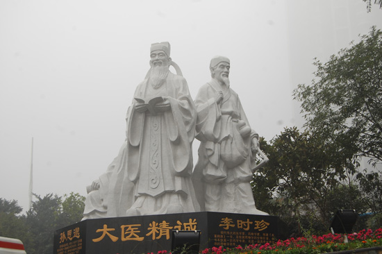 泸医中医院隆重举行第三届中医养生膏方节(图2)