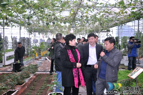 泸县赴广安考察学习现代农业产业发展(图1) 泸县赴广安考察学习现代农业产业发展(图1)