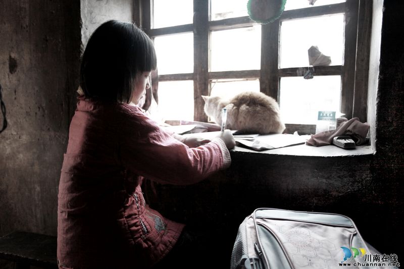 摄影作品魏文星:中绽放的生命之花(图10) 摄影作品魏文星:中绽放的生命之花(图10)