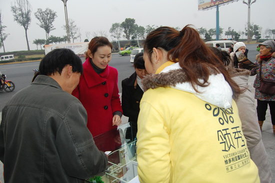 泸州市2012年金秋房交会盛大开幕(图8) 泸州市2012年金秋房交会盛大开幕(图8)