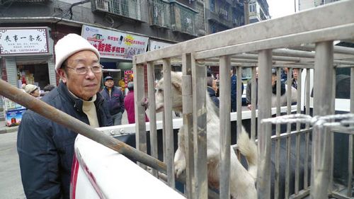 泸州打狗行动队:"从内心来讲,我们也不忍心打狗"(图3) 泸州打狗行动队:"从内心来讲,我们也不忍心打狗"(图3)