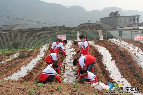龙车镇：校园劳动实践基地建设掠影(图2)