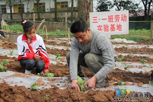 龙车镇：校园劳动实践基地建设掠影(图3)