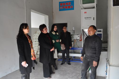 上马镇：依托商会平台以商招商效果显著