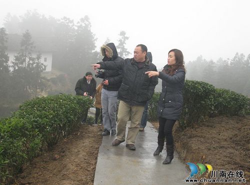 泸州市民宗局调研马嘶苗族乡产业建设和新农村建设(图2)