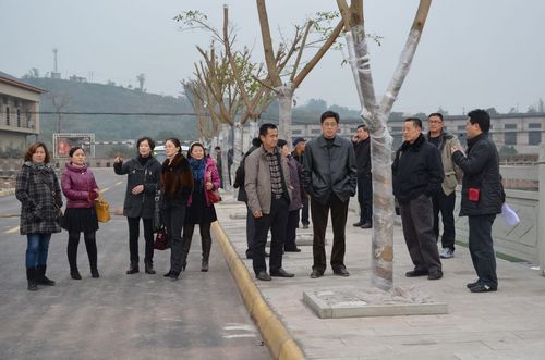 龙马潭区党代表视察胡市项目建设(图1)