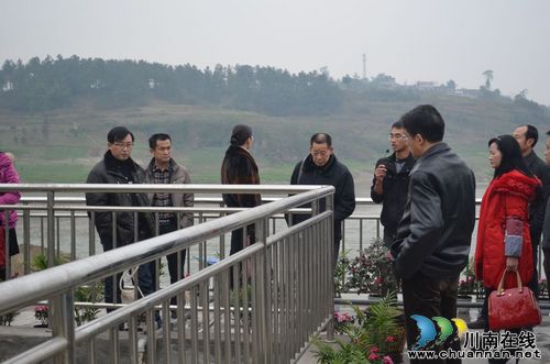 龙马潭区党代表视察胡市项目建设(图2)