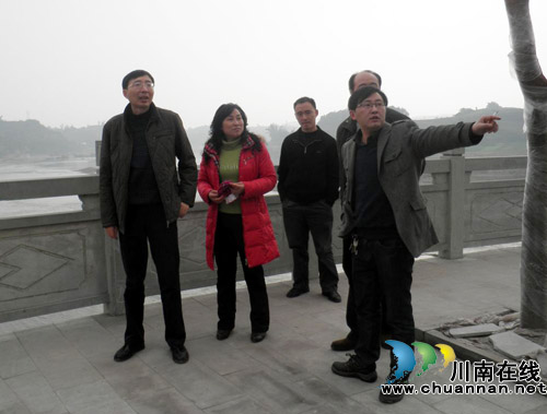 龙马潭区委常委、区纪委书记邓永铸到胡市镇调研(图1)