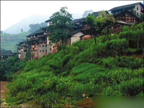 一路美景 1小时旅游圈玩转宜泸(图4) 一路美景 1小时旅游圈玩转宜泸(图4)