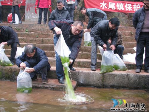 水尾镇：开展环境保护暨冬季投放鱼苗活动