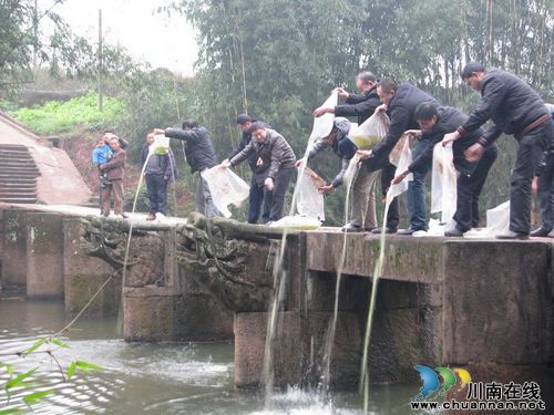 水尾镇：开展环境保护暨冬季投放鱼苗活动(图2)