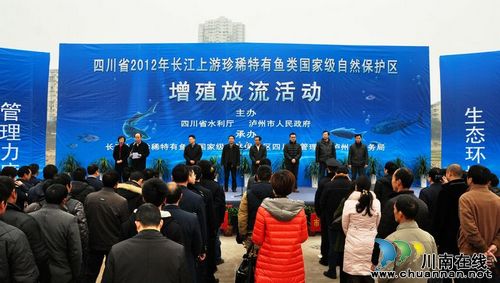 保护水域生态环境&nbsp;泸州17万尾鱼苗放流长江