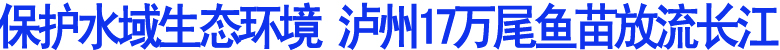 泸州17万尾鱼苗放流长江
