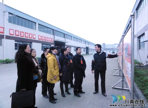 市区人大代表调研茜草街道经济发展(图1)