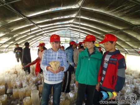 龙马潭区特兴镇首个青少年科普实践基地成立(图3)