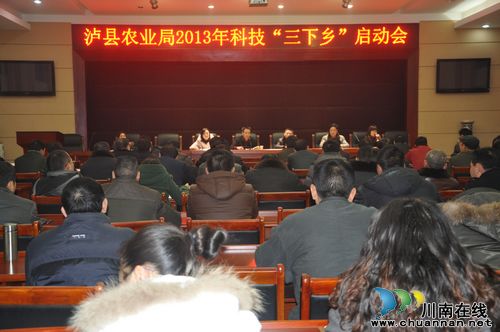 泸县农业局召开2013年科技“三下乡”工作启动会(图1)